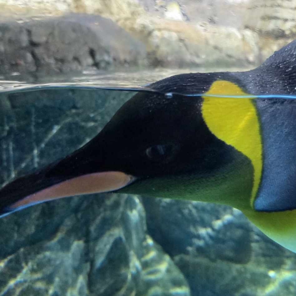 クラブ プラチナ 長野日記1507616