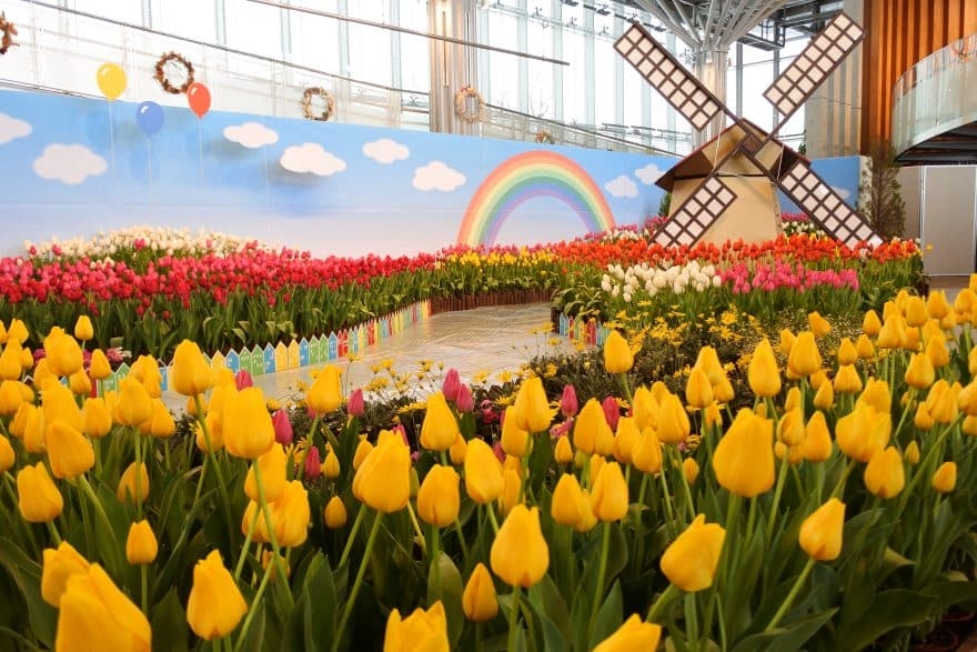 🌸出勤します🌸