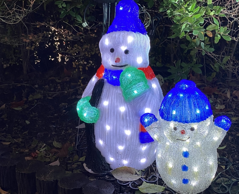 ROYAL ONE日記1551413