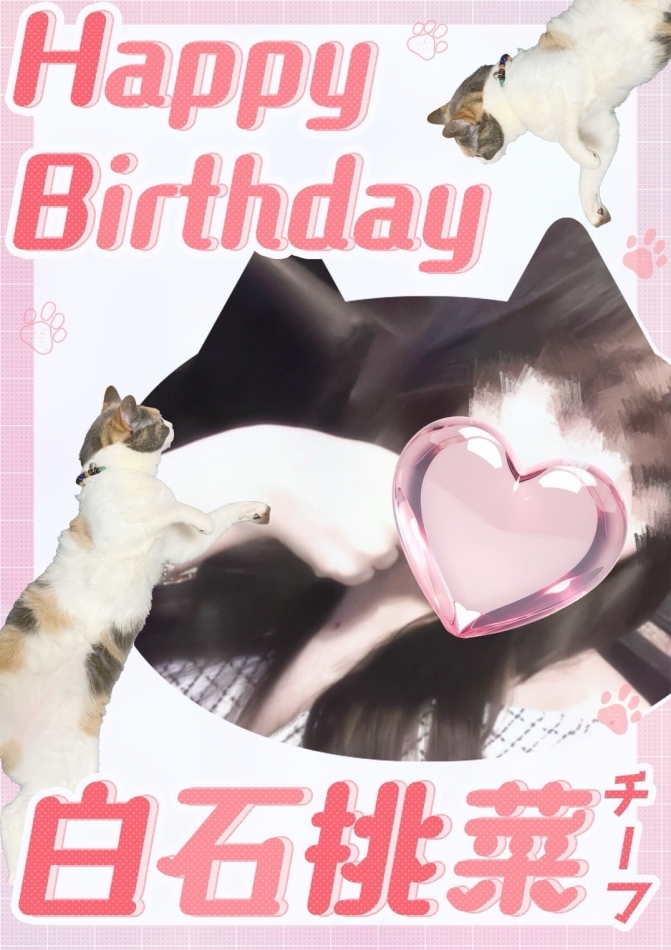 club Diana日記1294576