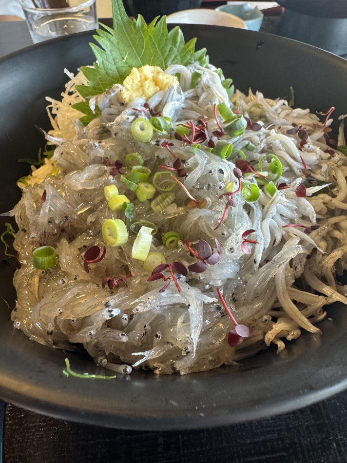 江ノ島でしらすくった。