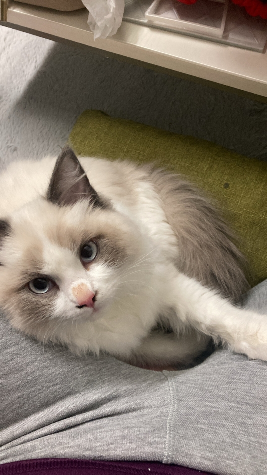 スナックBar Peace日記1553205