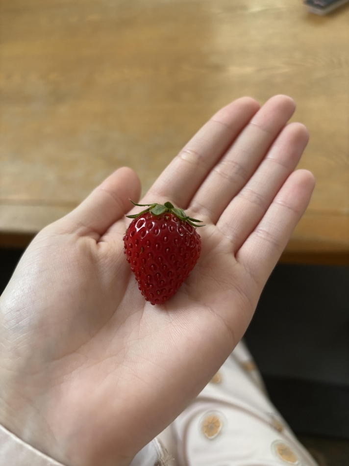 こまち