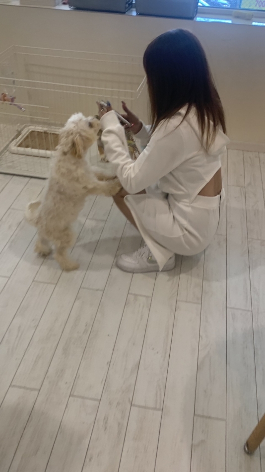 🐍🐶‪🦜‬🐱🦉🐰