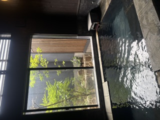 一条 葵
