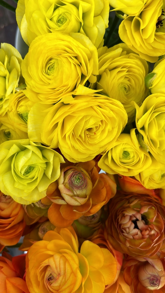 こんばんは¨̮⃝ 4/11