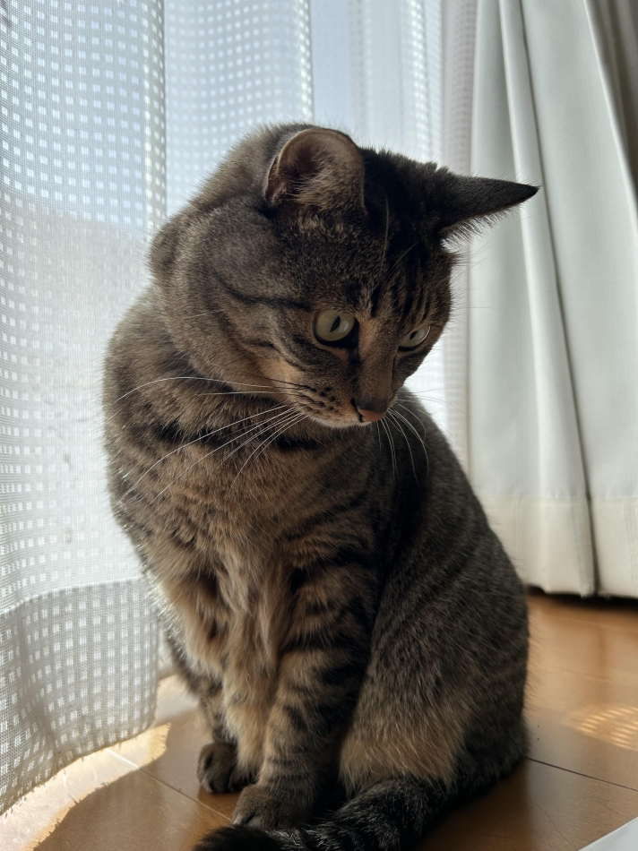 カラオケフードバー Mimi日記1411959