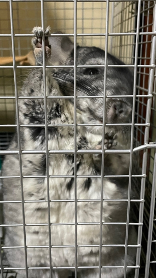 6月19日 20時33分のブログ