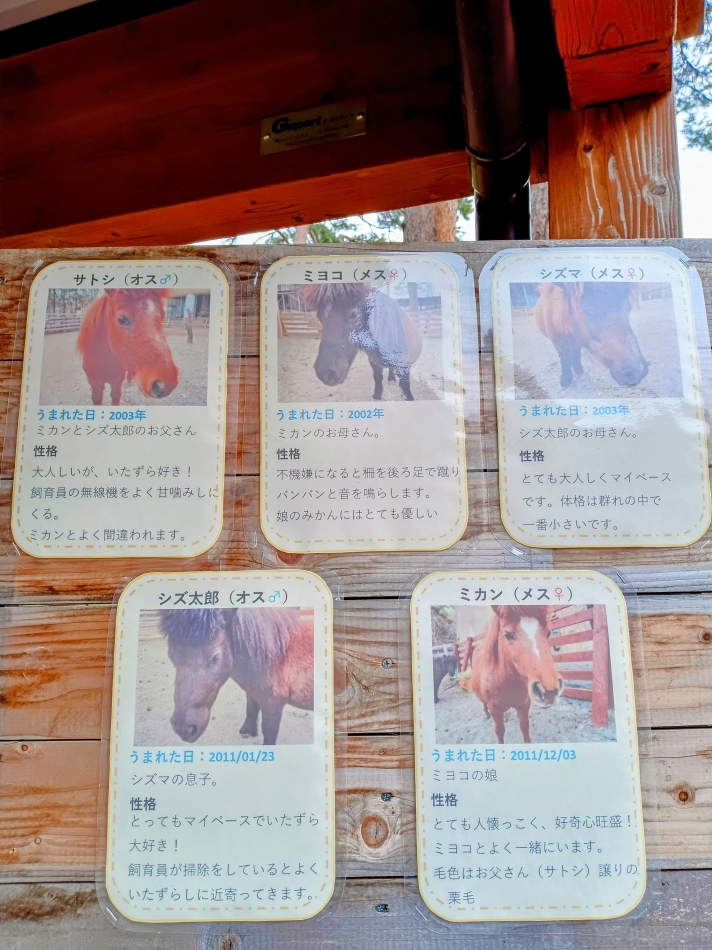 今さっき新潟着きました🛫