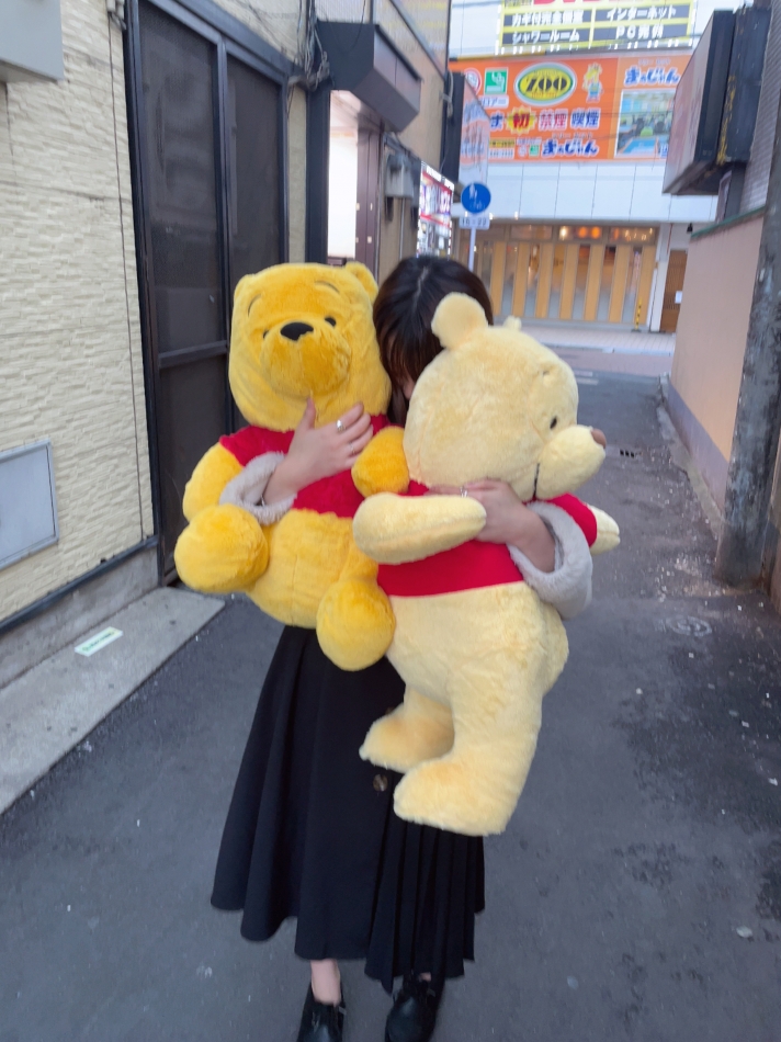 一条 葵