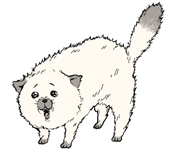 あやか