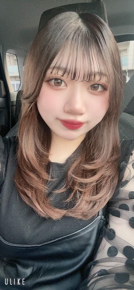 一条 葵