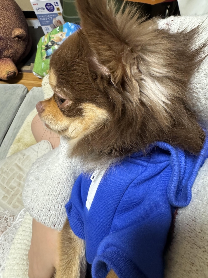 Lounge en&.日記1556223