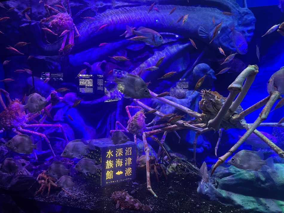 7月28日 21時17分のブログ