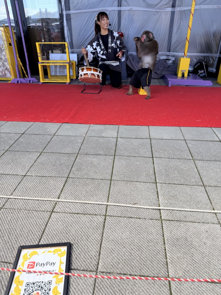 猿ってすごいよ