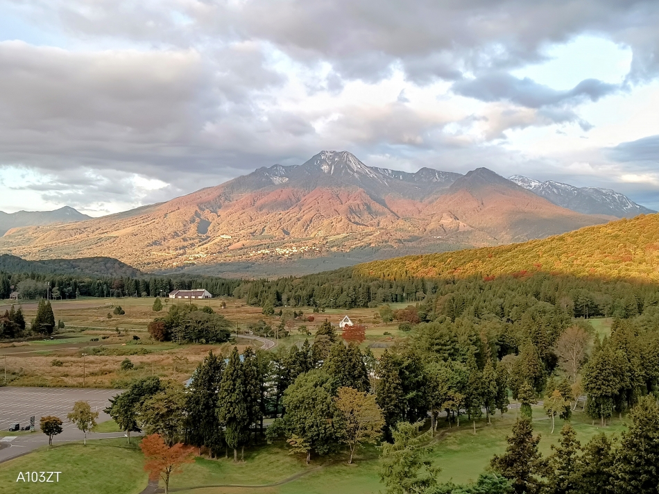 紅葉見にいこーよー
