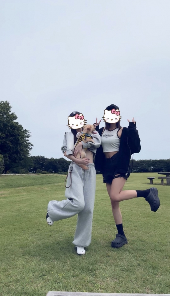 一条 葵