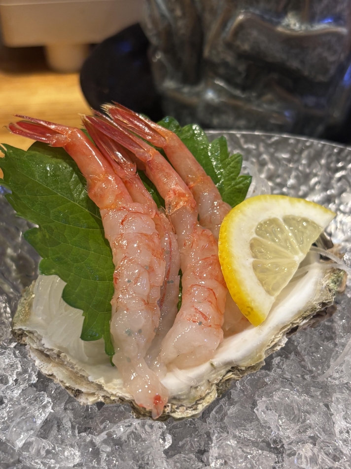一条 葵