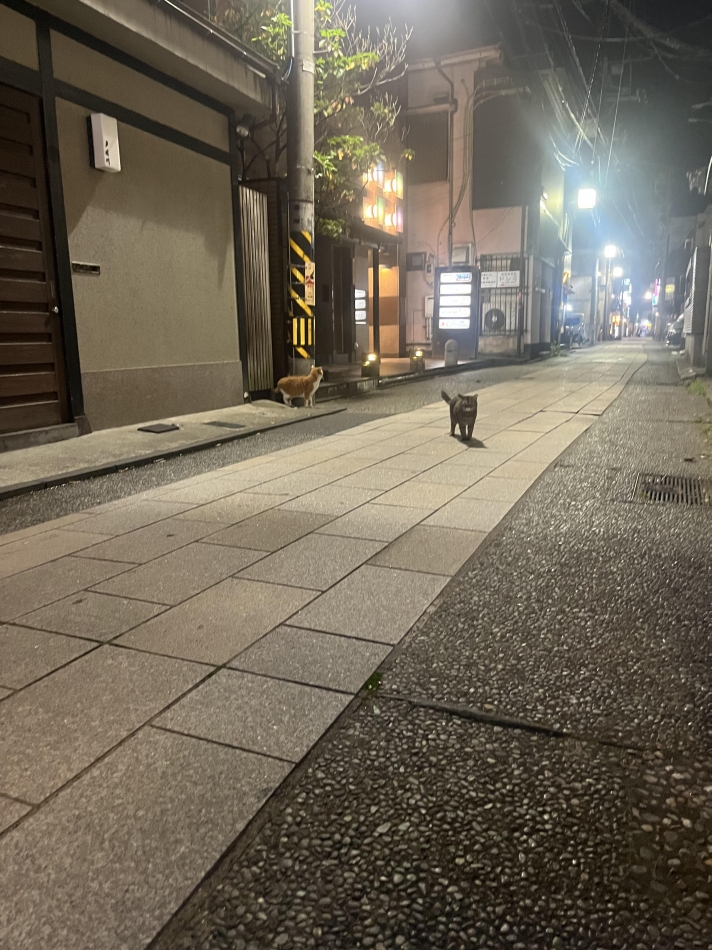 めい