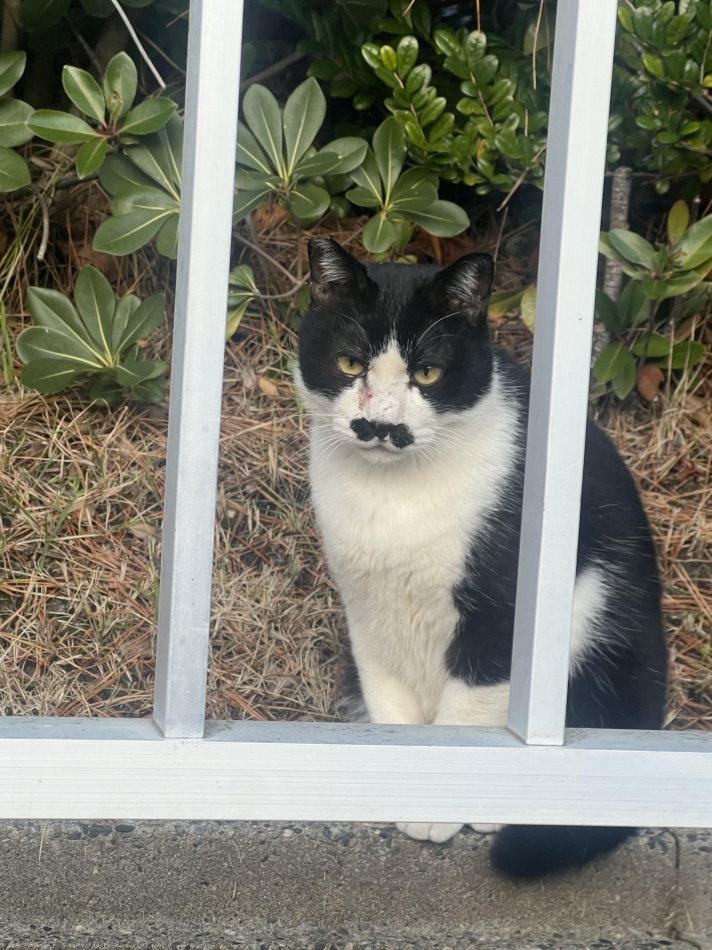 club Diana日記1566285