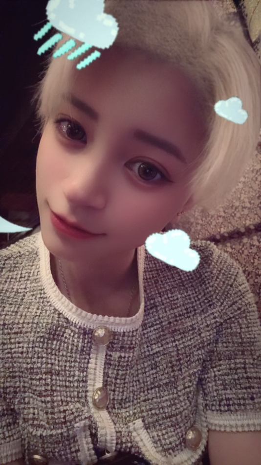 一条 葵