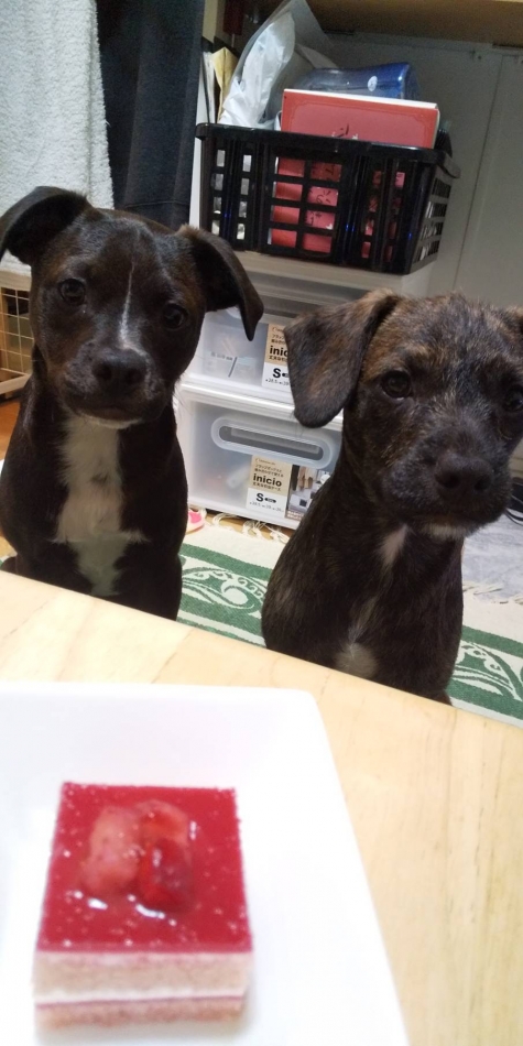 カラオケハイボールbar美人姉妹日記1570738