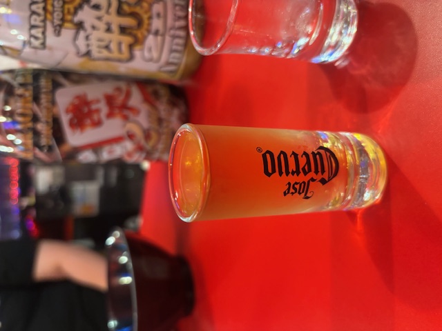 一条 葵