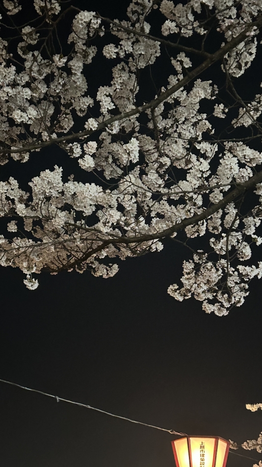 Girls Bar Philia日記1337820