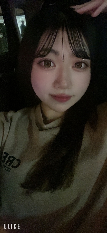 一条 葵