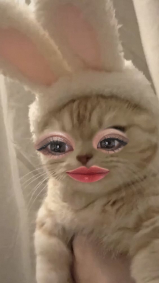 1月9日 20時01分のブログ