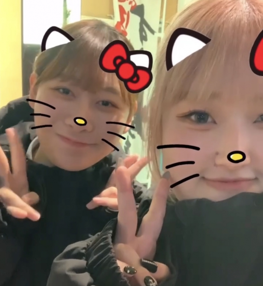 ひなちゃん😽🧡