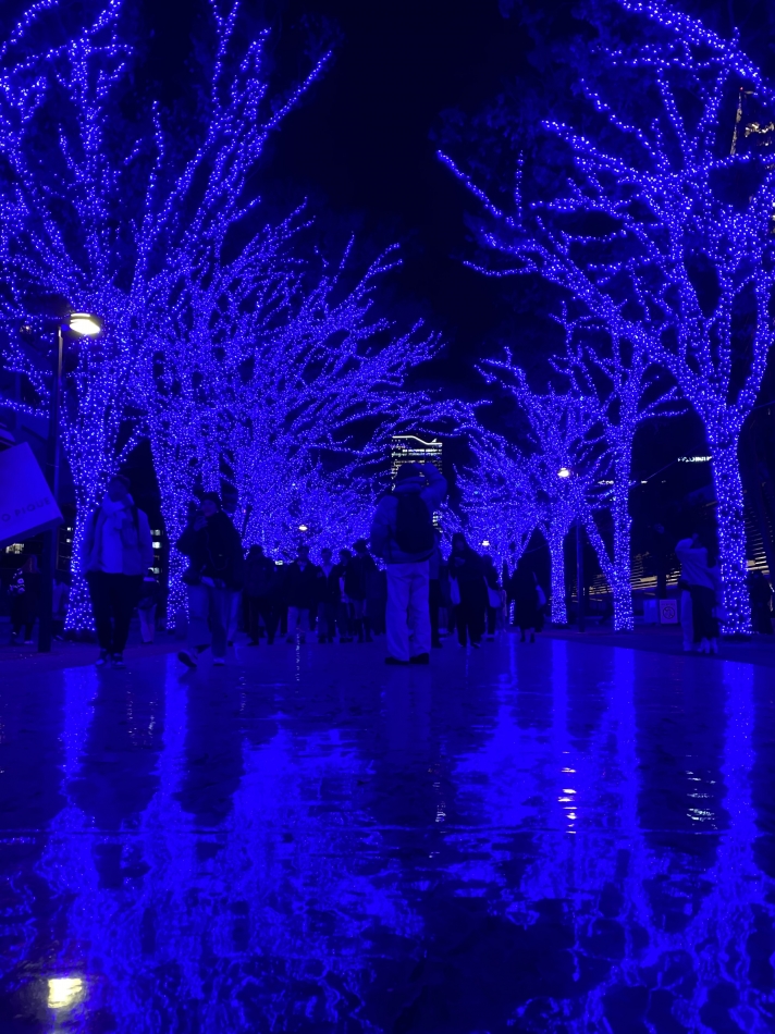 ダフネ日記1556851