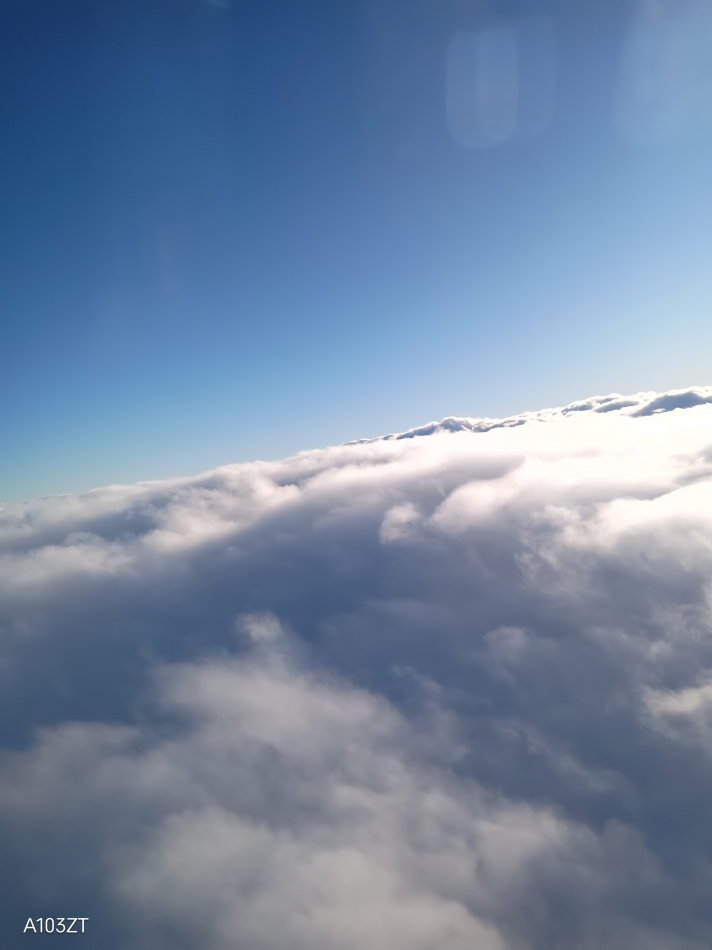 ばいばいきーん