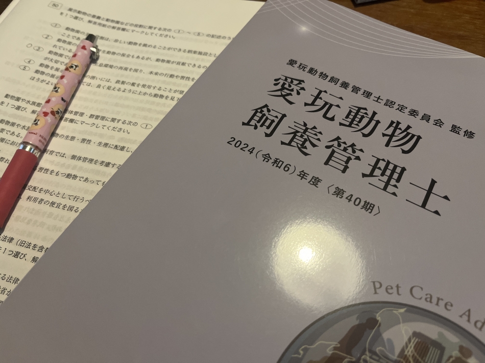 頑張ってるよ～