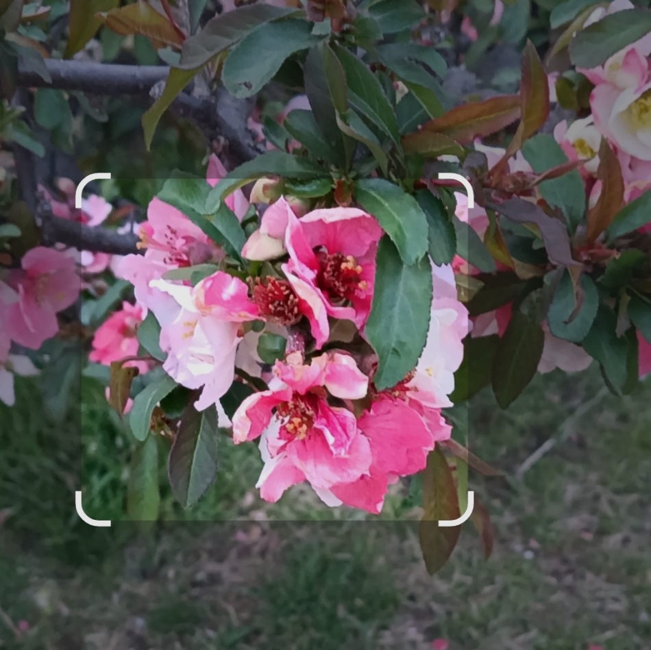 CLUB ASLI日記1638792