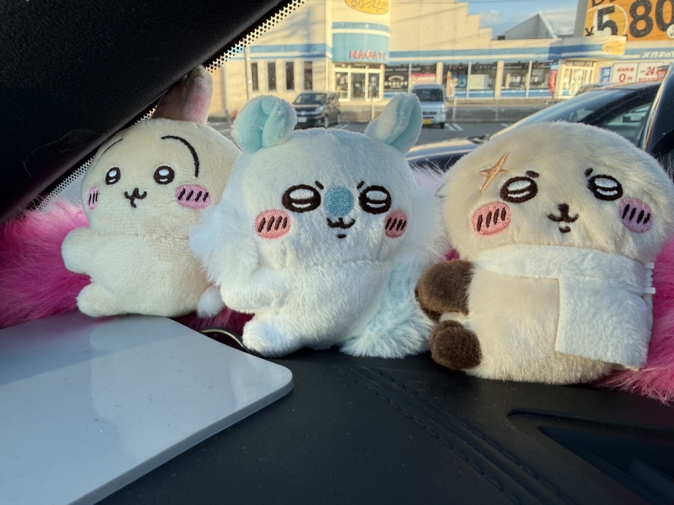 CLUB　Paladin日記1616959