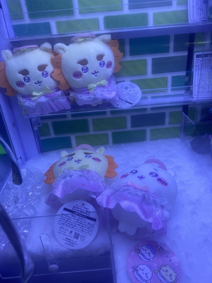 ほしかった、、