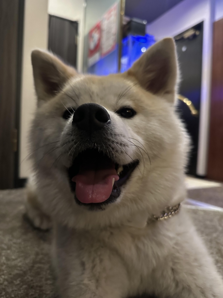 lounge Remika日記1364366