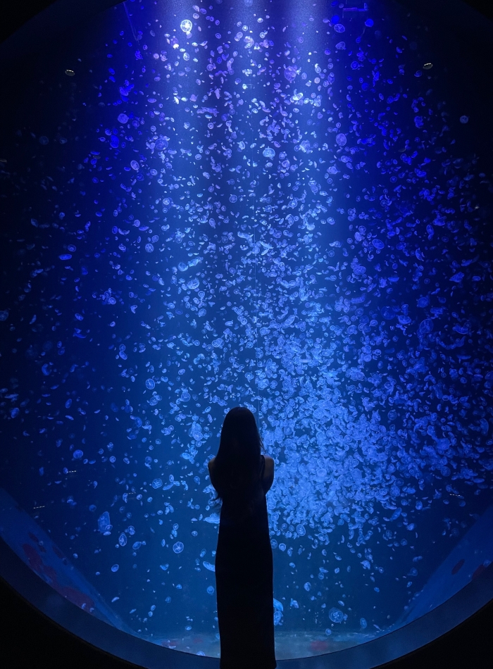 綺麗すぎた✨️