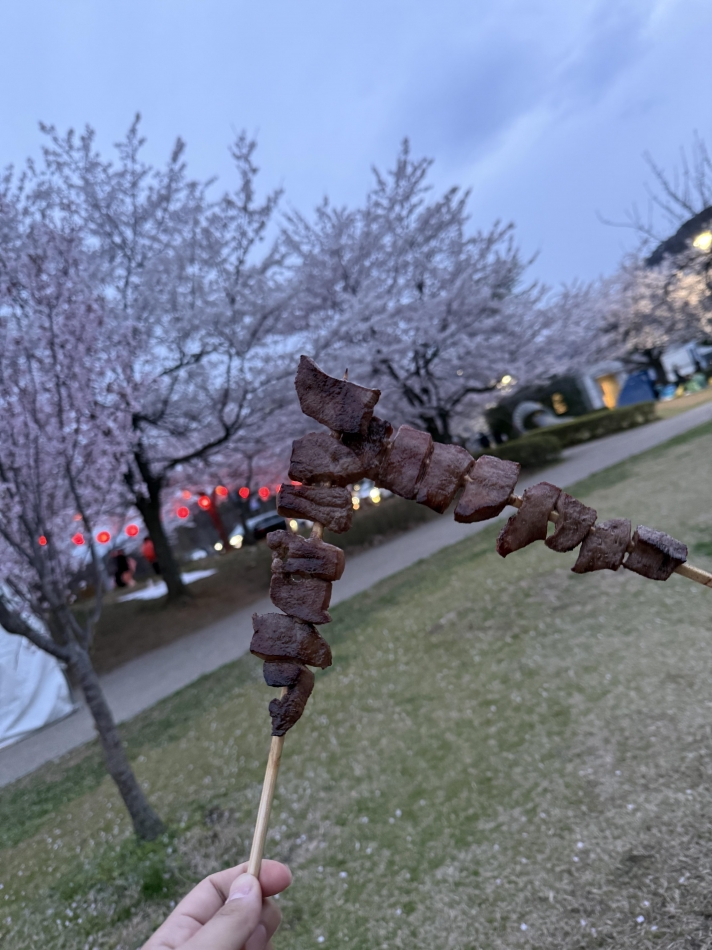 一条 葵