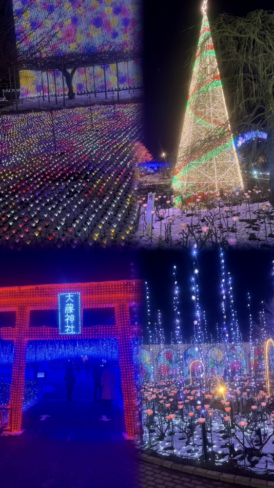 Lounge Veranda日記1589365