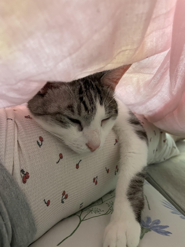 カラオケハイボールbar美人姉妹日記1620372