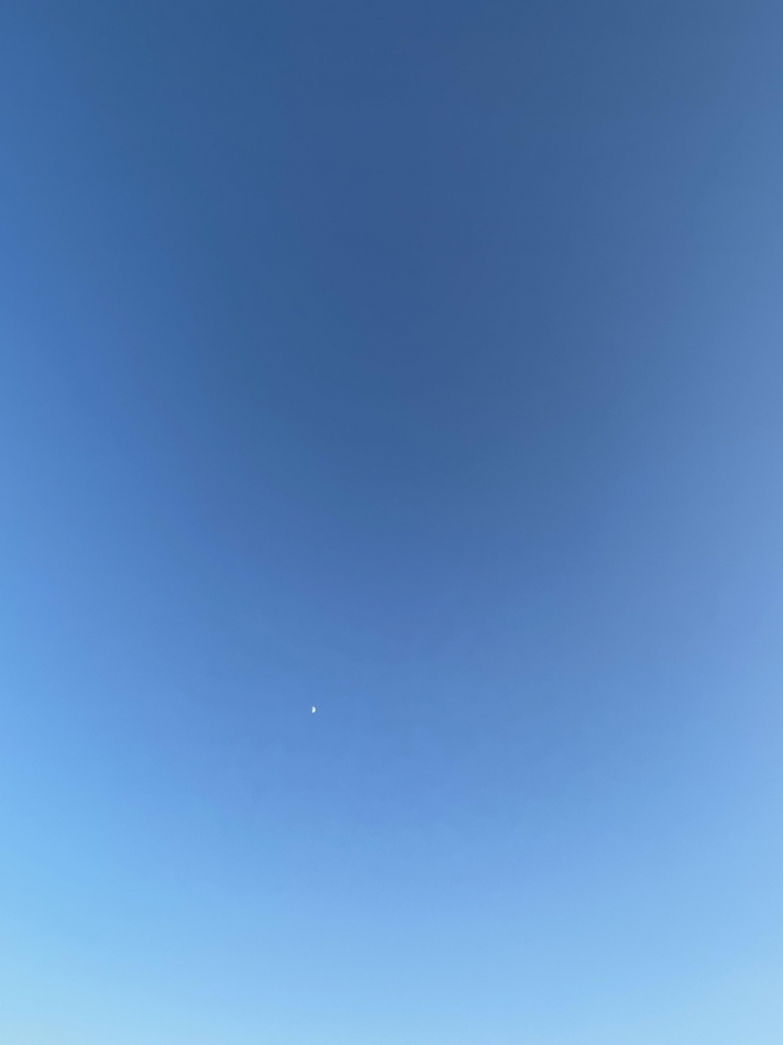 和風パブ 和っ笑居日記1535548