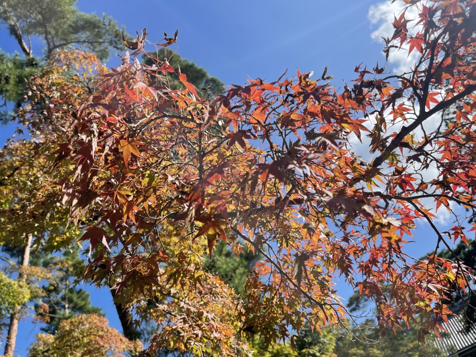 11月4日 23時02分のブログ