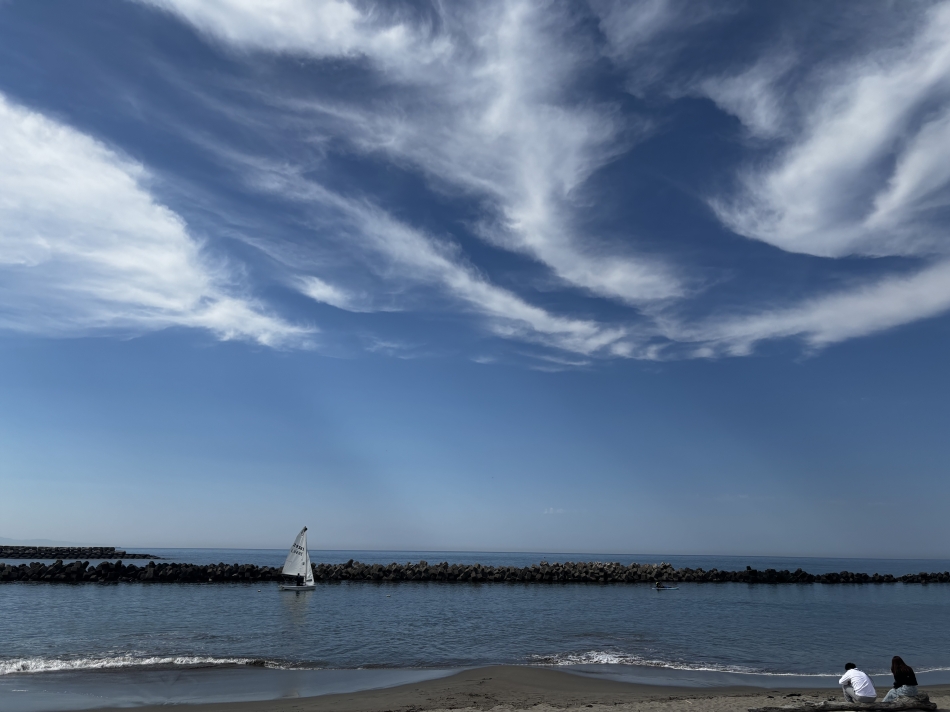 上月 海綺