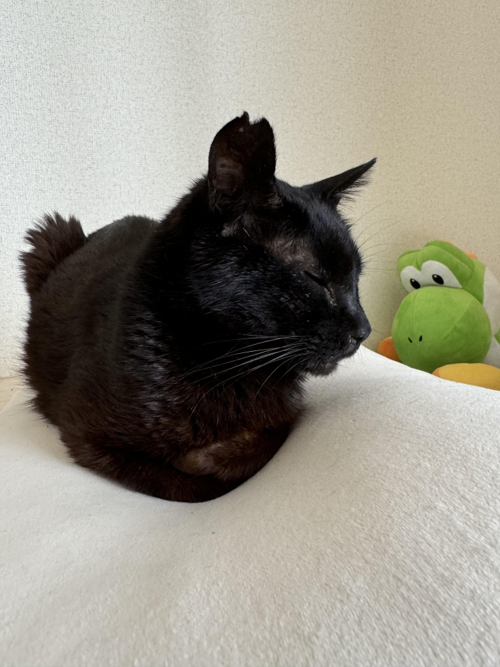 モヤモヤした気持ちはきっと天気が悪いせい