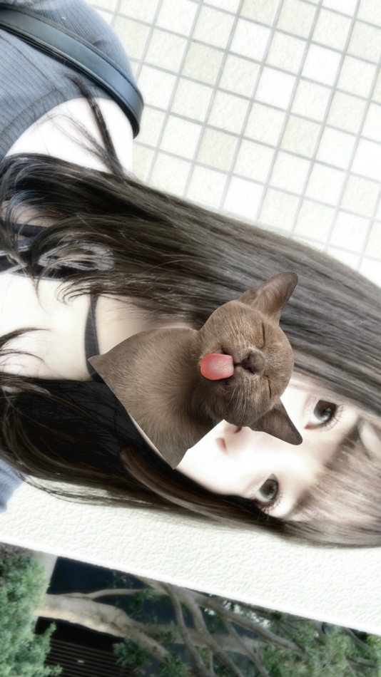 club Diana日記1157638