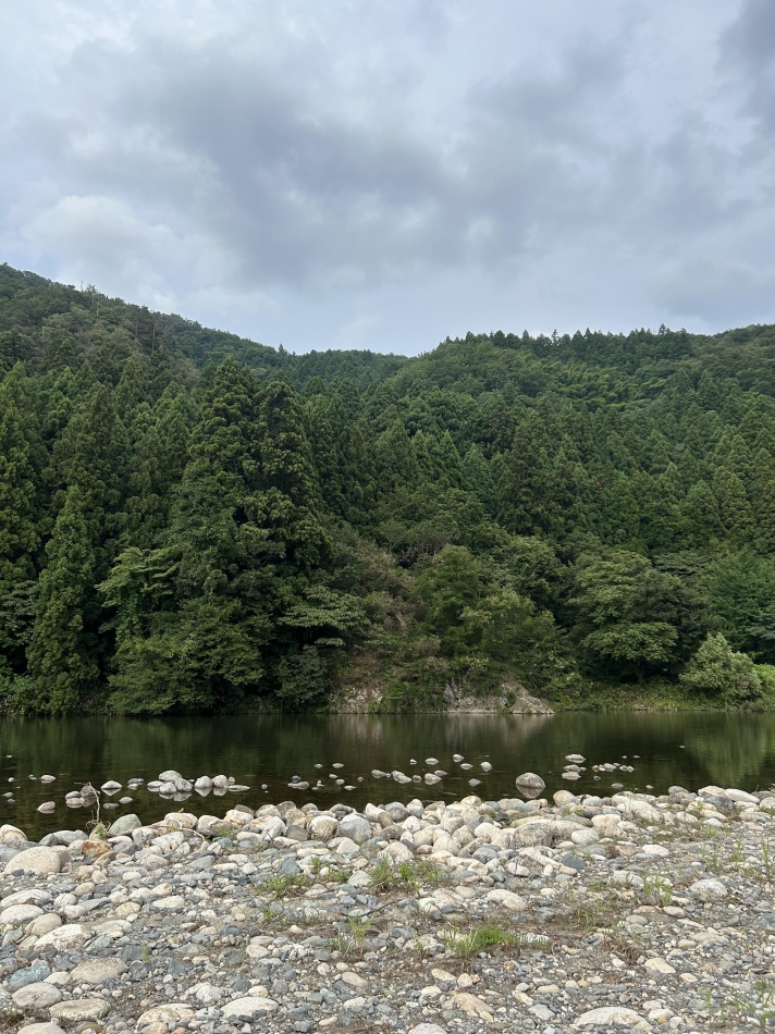 JEUNESSE日記1450908