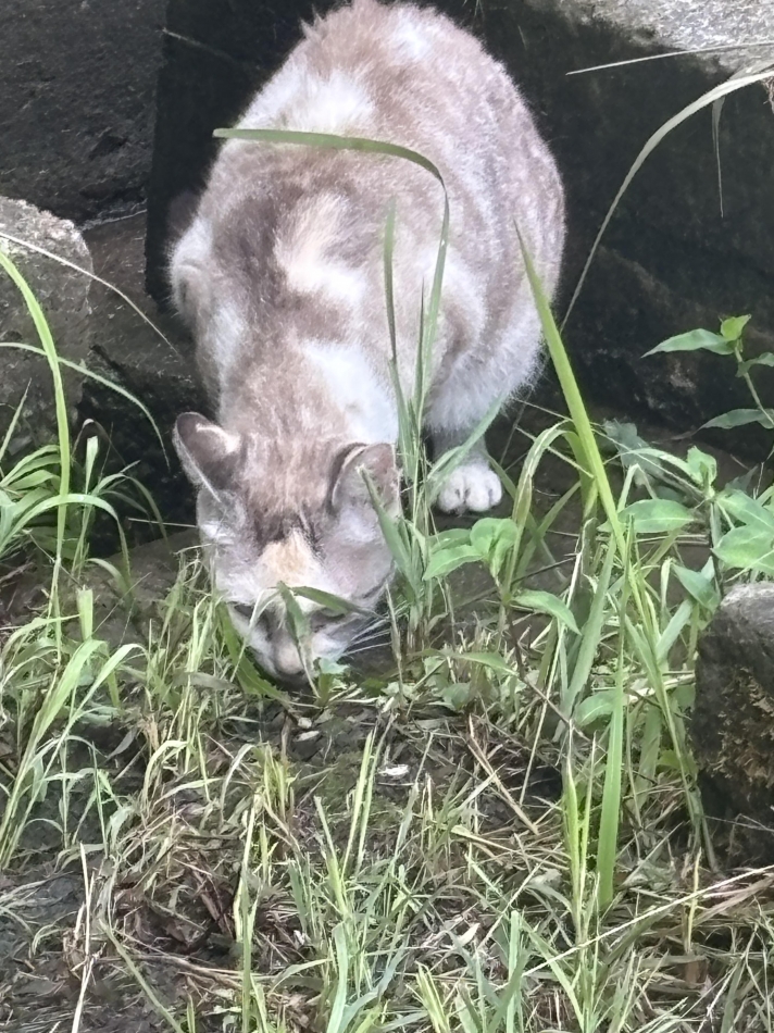 concept bar Citron日記1512471