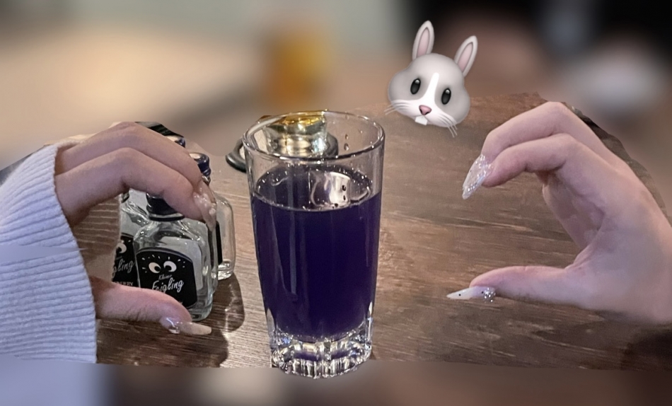 Veronica-ヴェロニカ-日記1515801